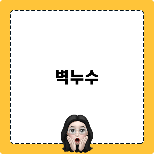 벽누수 공사와 해결 후기
