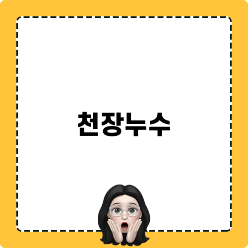 천장누수 해결기 Title