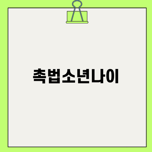 촉법소년나이와 미성년자절도죄