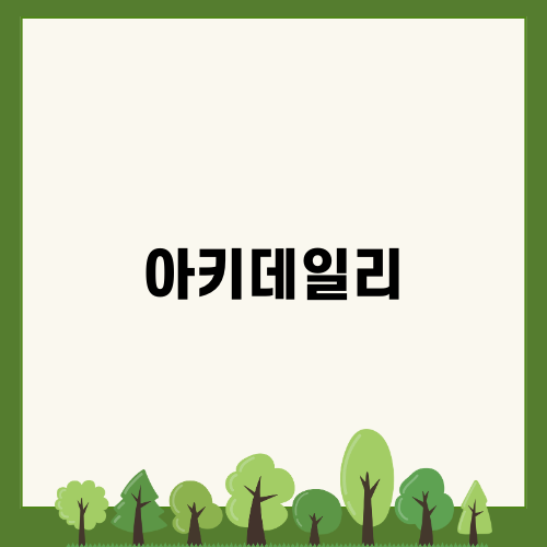 아키데일리: 편안함과 스타일의 완벽 조화