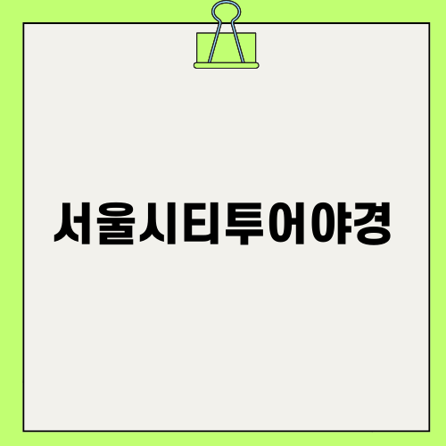 서울시티투어야경의 매력