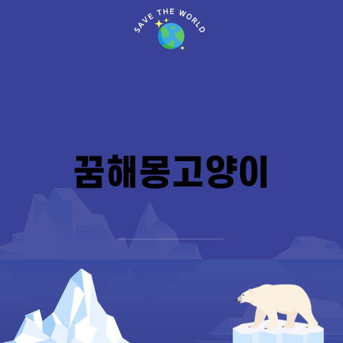 꿈해몽고양이의 의미와 안내